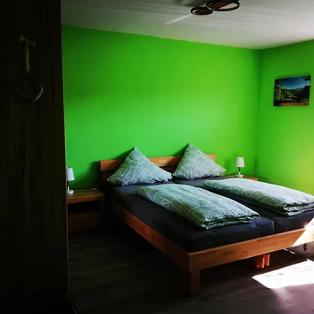 公寓 Ferienwohnung Villingen 菲林根-施文宁根